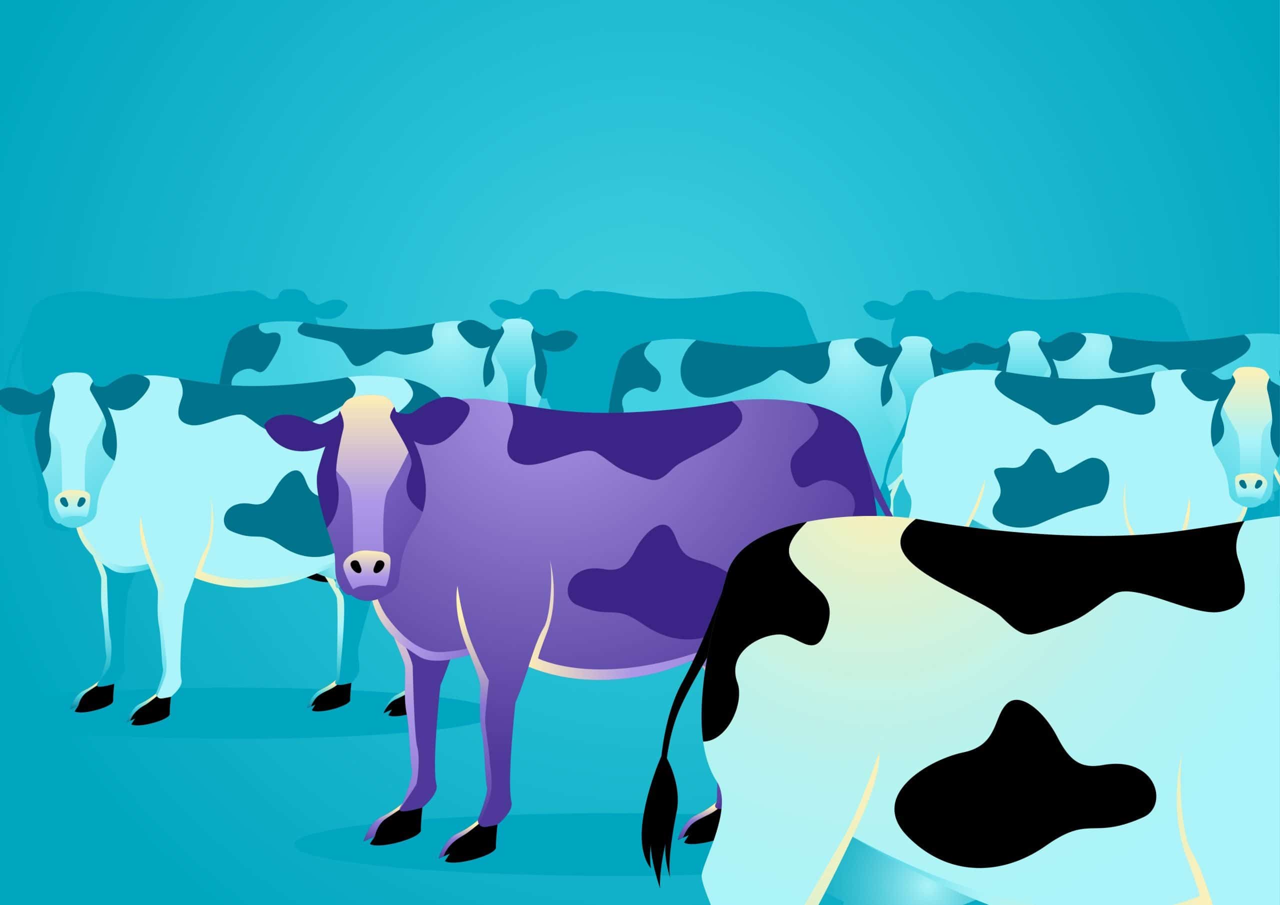 Purple Cow Theory: A Journey into Becoming Extraordinary